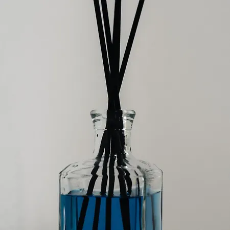 Al Mare Fuori Bed & Breakfast Calopezzati