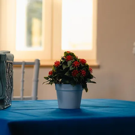 Bed & Breakfast Al Mare Fuori