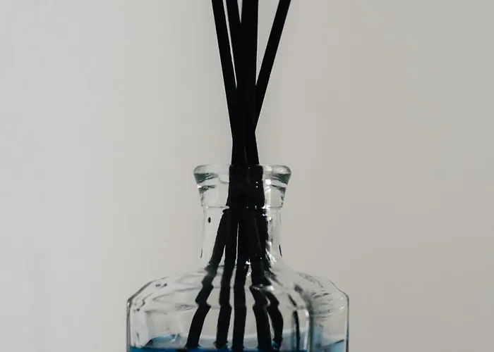 Al Mare Fuori Alojamento de Acomodação e Pequeno-almoço Calopezzati